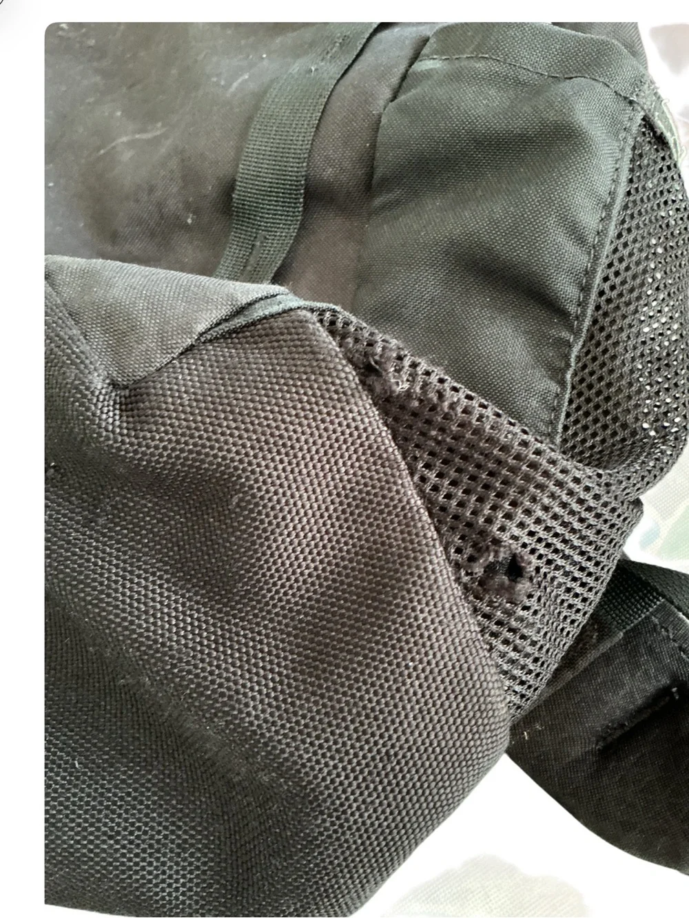 The North Face Black Backpacks